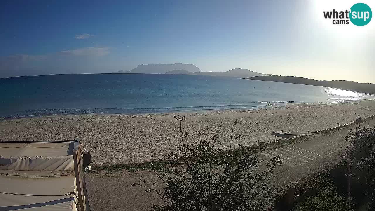 The beach of Pittulongu live webcam Olbia – Sardinia – Italy