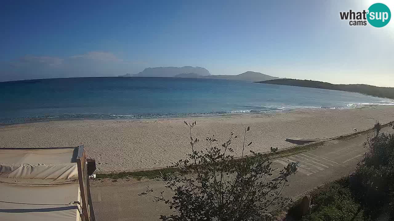 La plage de Pittulongu en direct webcam Olbia – Sardaigne – Italie