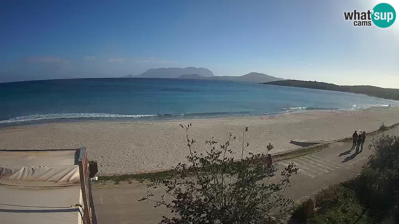 La plage de Pittulongu en direct webcam Olbia – Sardaigne – Italie