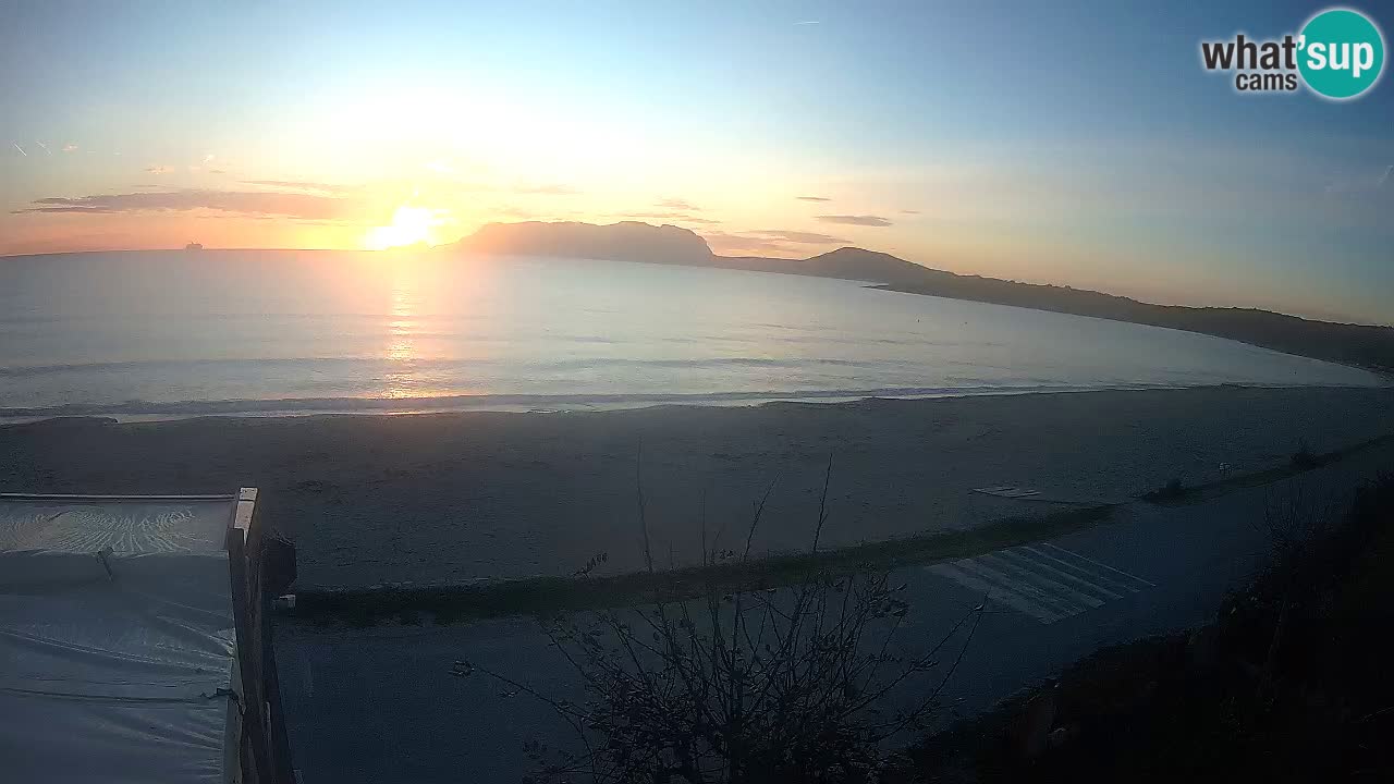 Der Strand von Pittulongu Live-Webcam Olbia – Sardinien – Italien