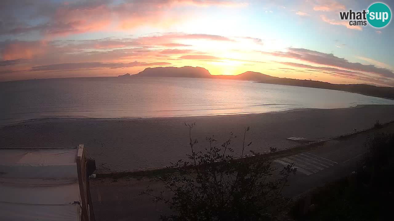 Der Strand von Pittulongu Live-Webcam Olbia – Sardinien – Italien