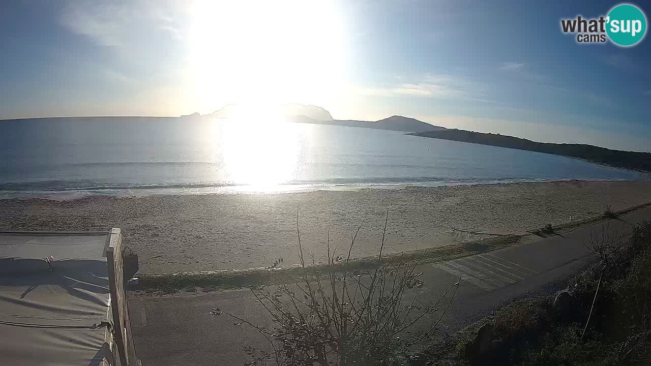 La playa de Pittulongu webcam en vivo Olbia – Cerdeña – Italia