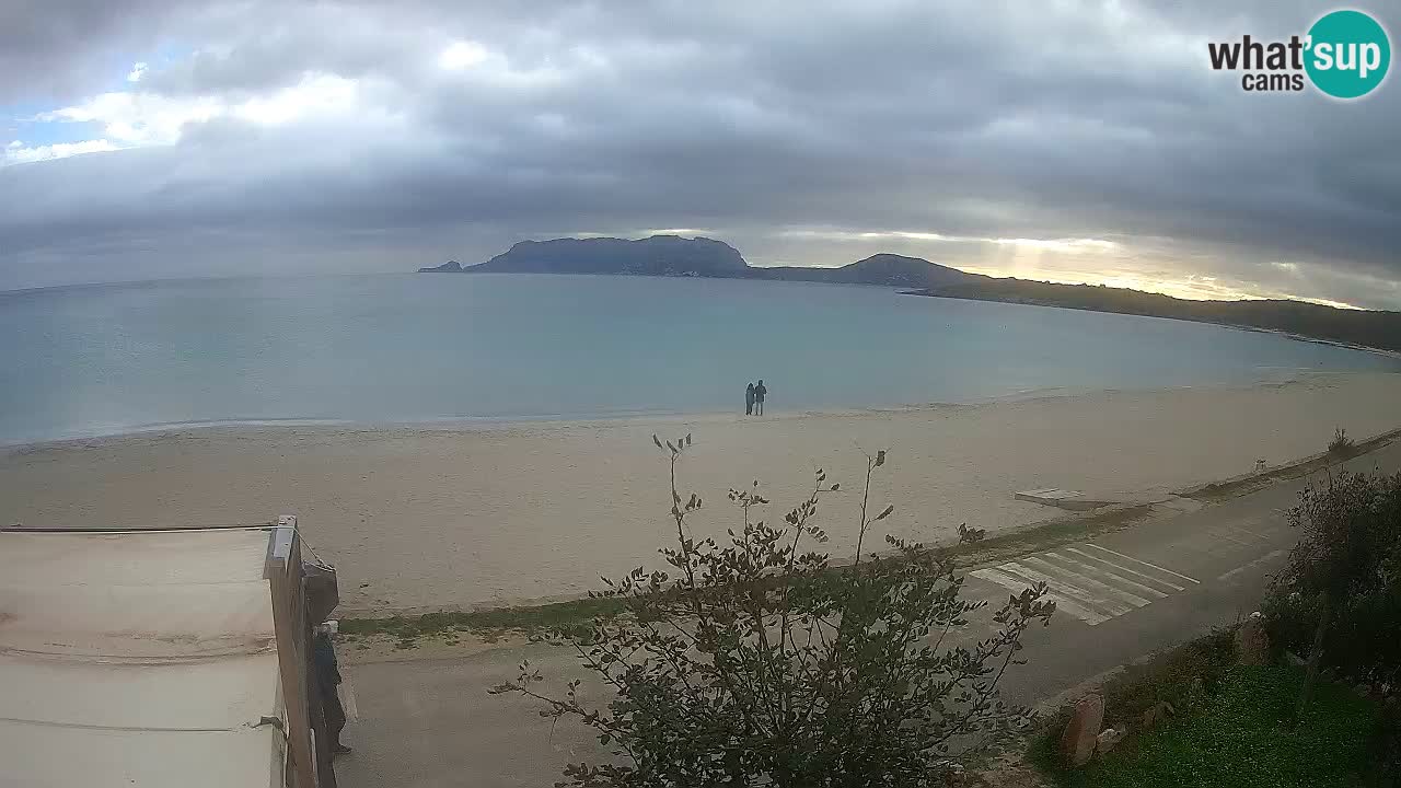 The beach of Pittulongu live webcam Olbia – Sardinia – Italy