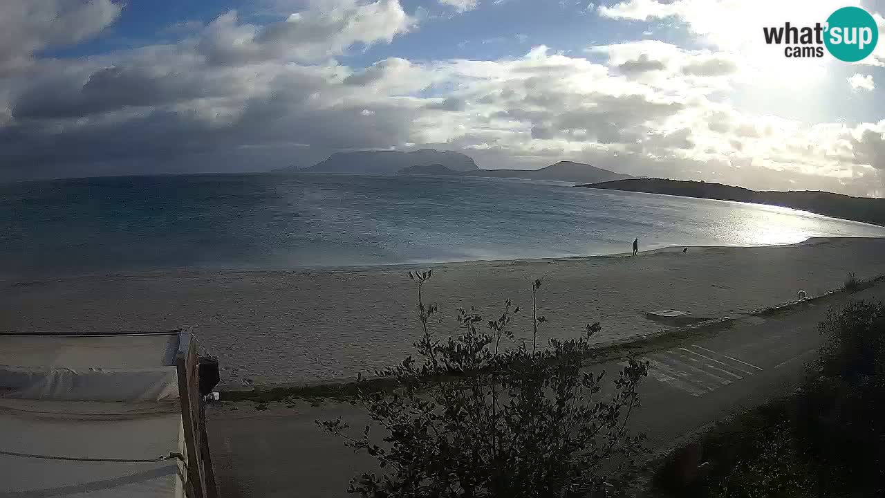 Der Strand von Pittulongu Live-Webcam Olbia – Sardinien – Italien