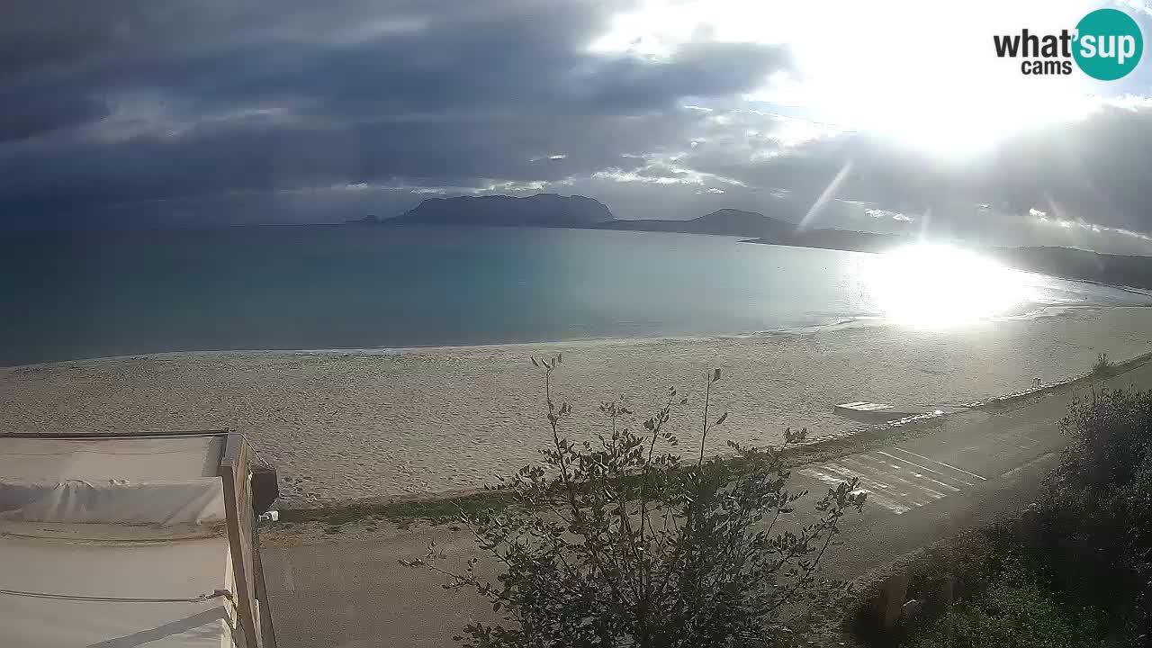 La plage de Pittulongu en direct webcam Olbia – Sardaigne – Italie