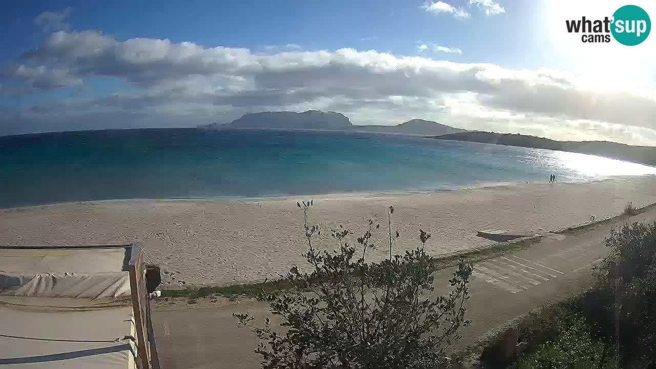 La playa de Pittulongu webcam en vivo Olbia – Cerdeña – Italia