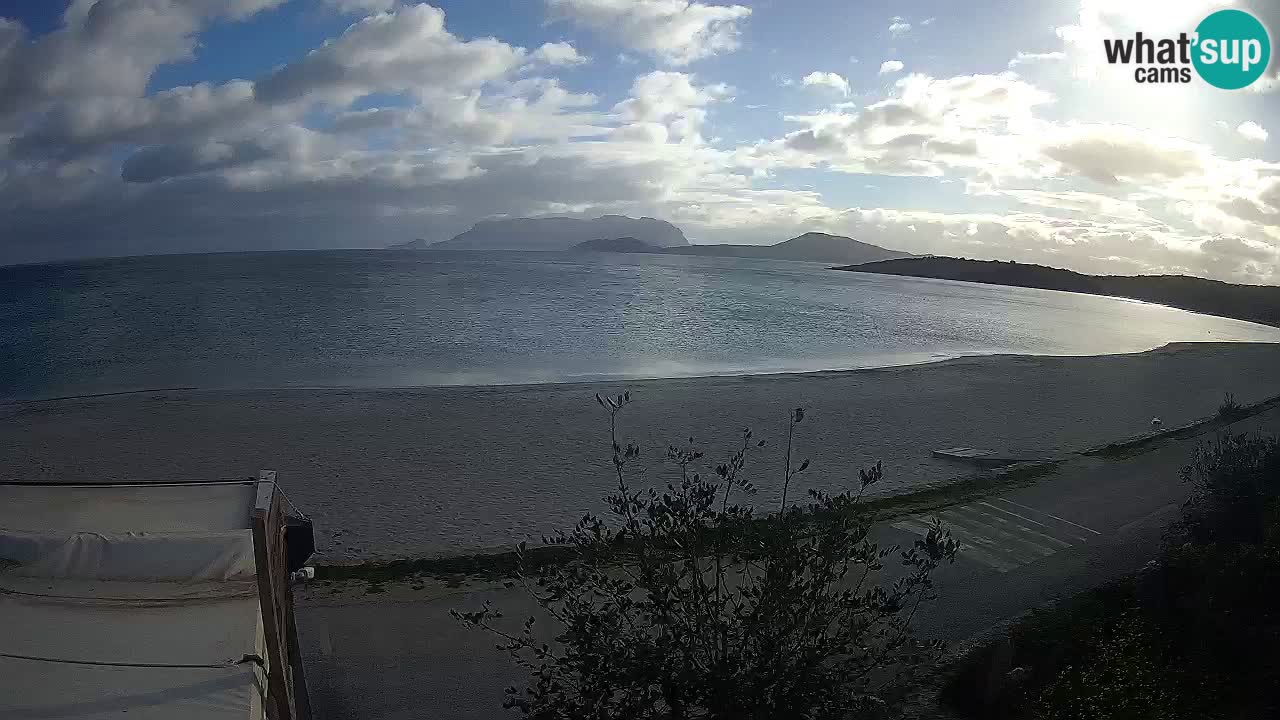 Der Strand von Pittulongu Live-Webcam Olbia – Sardinien – Italien