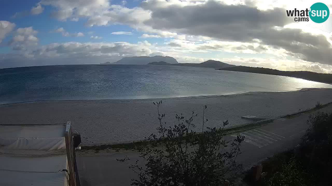 La webcam spiaggia Pittulongu vicino Olbia – Sardegna