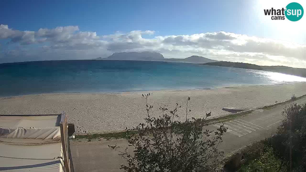 La webcam spiaggia Pittulongu vicino Olbia – Sardegna