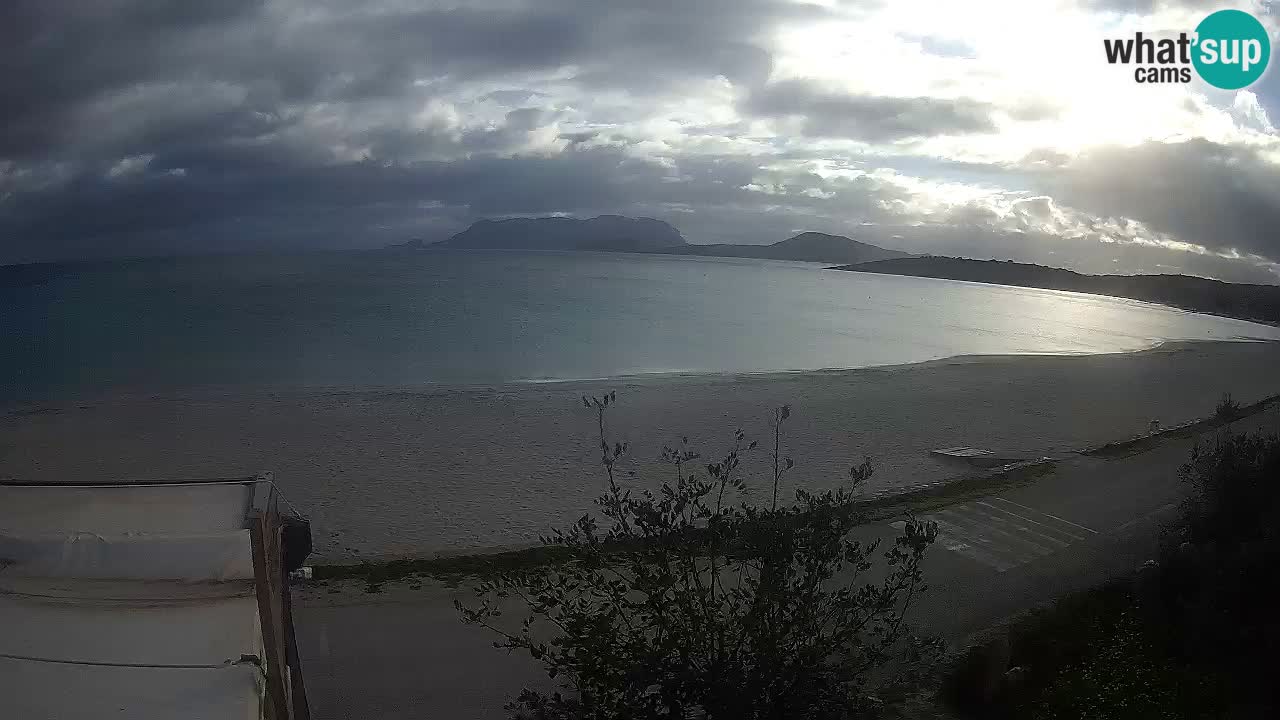 La webcam spiaggia Pittulongu vicino Olbia – Sardegna