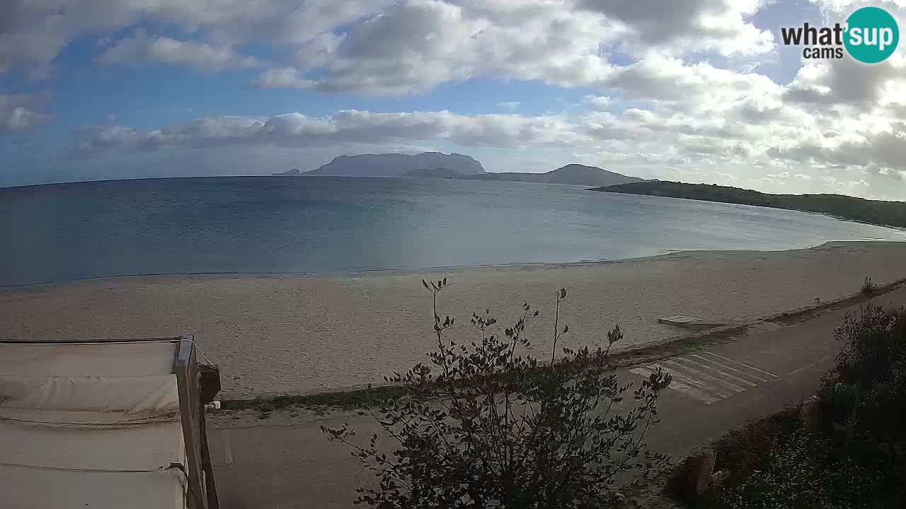 La plage de Pittulongu en direct webcam Olbia – Sardaigne – Italie