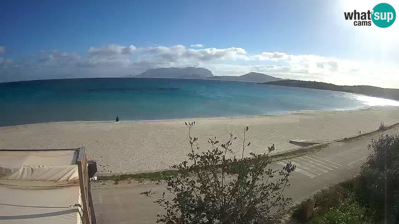 The beach of Pittulongu live webcam Olbia – Sardinia – Italy