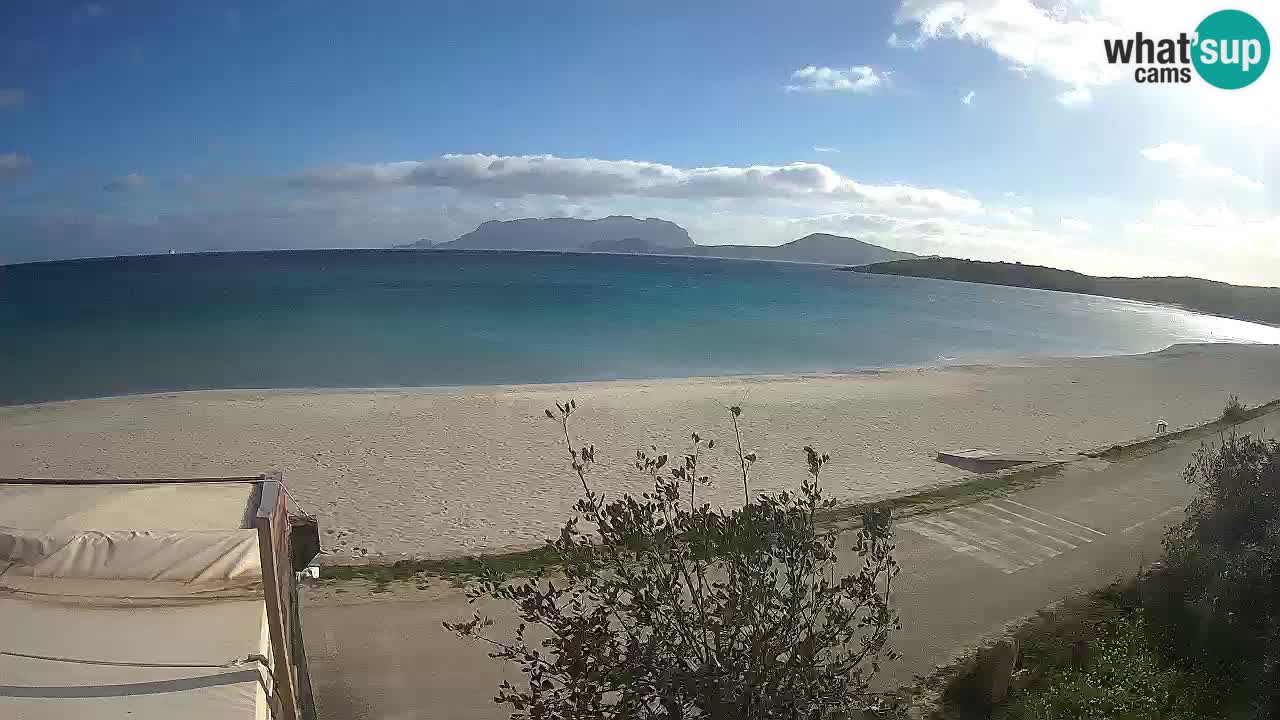 Plaža Pittulongu spletna kamera v živo Olbia – Sardinija – Italija