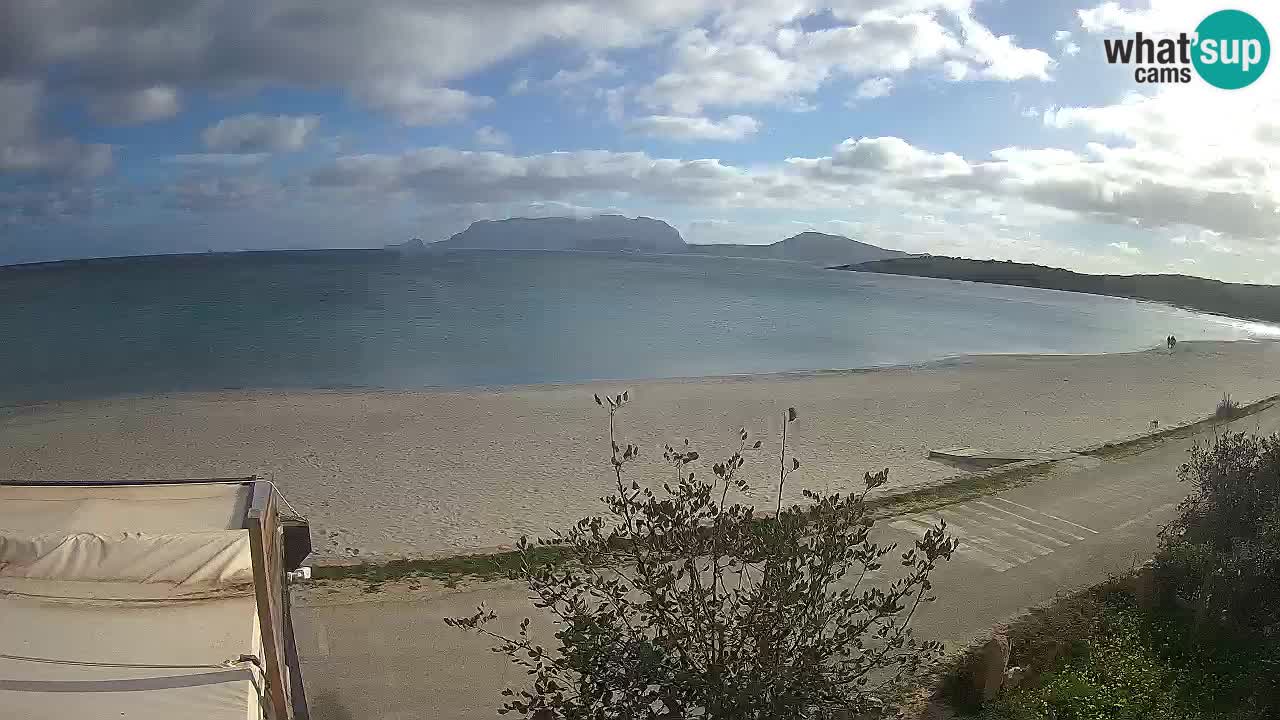 La webcam spiaggia Pittulongu vicino Olbia – Sardegna