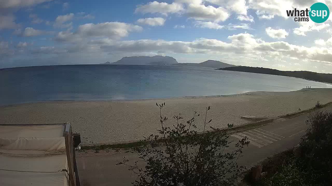 La playa de Pittulongu webcam en vivo Olbia – Cerdeña – Italia