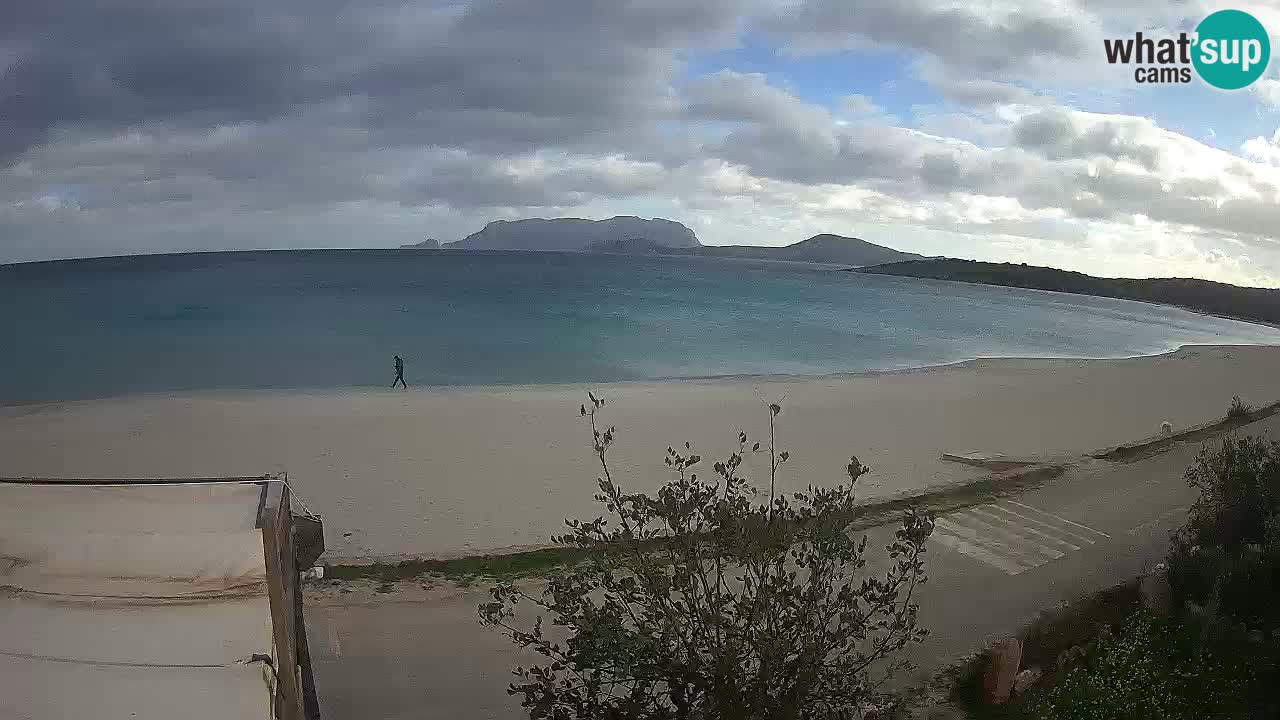 Der Strand von Pittulongu Live-Webcam Olbia – Sardinien – Italien