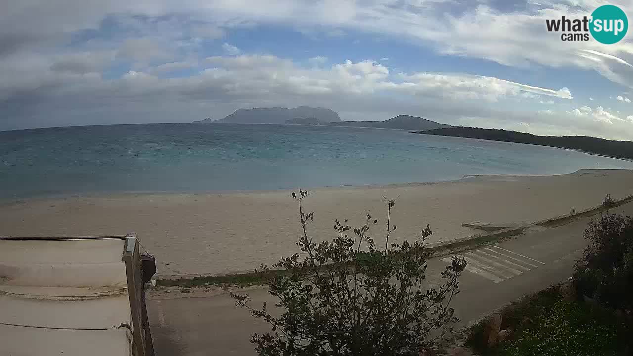 La webcam spiaggia Pittulongu vicino Olbia – Sardegna