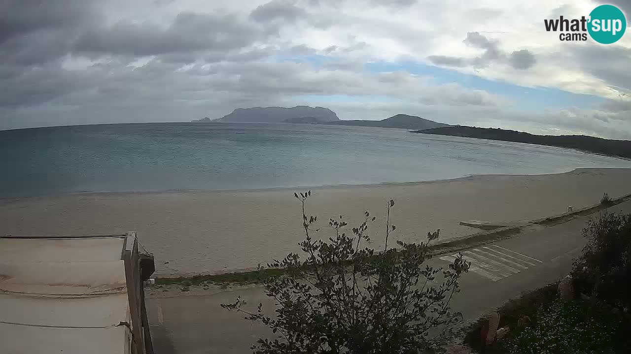 La playa de Pittulongu webcam en vivo Olbia – Cerdeña – Italia