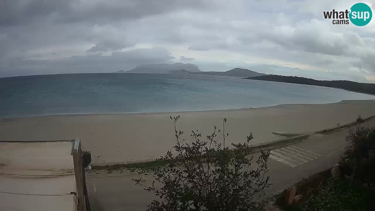 La webcam spiaggia Pittulongu vicino Olbia – Sardegna