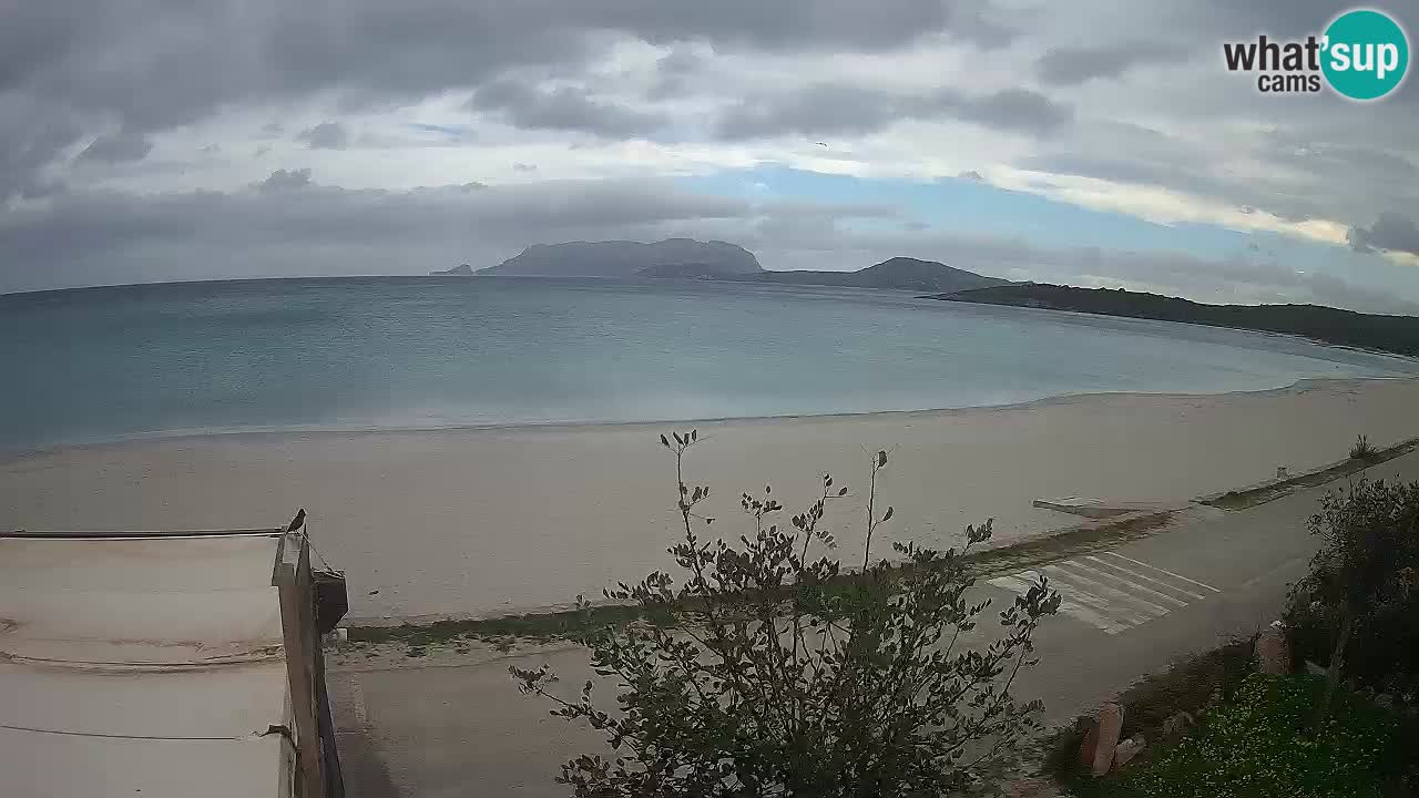 La webcam spiaggia Pittulongu vicino Olbia – Sardegna