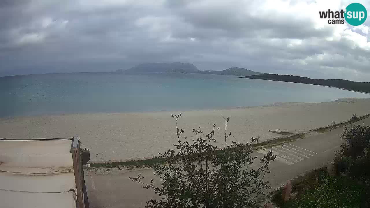 La webcam spiaggia Pittulongu vicino Olbia – Sardegna