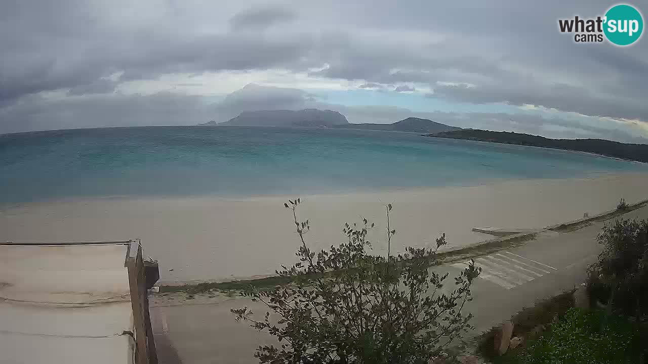 La plage de Pittulongu en direct webcam Olbia – Sardaigne – Italie