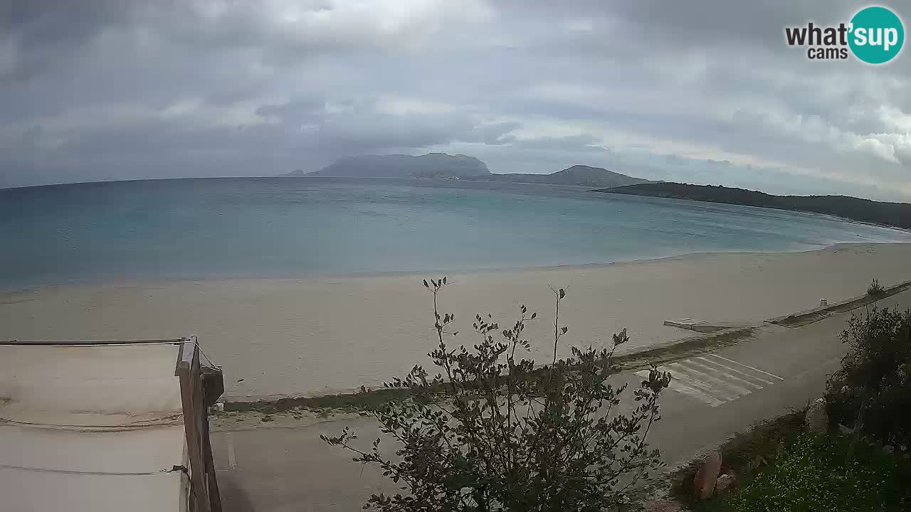 Plaža Pittulongu spletna kamera v živo Olbia – Sardinija – Italija