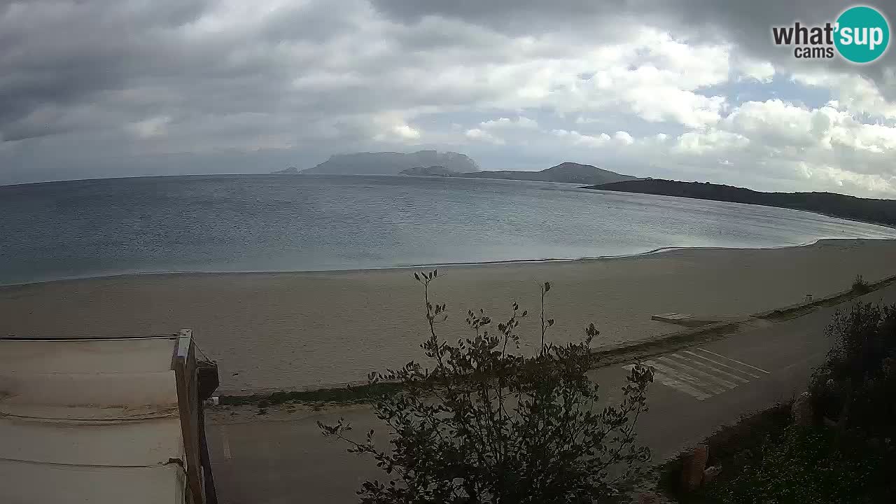 La playa de Pittulongu webcam en vivo Olbia – Cerdeña – Italia