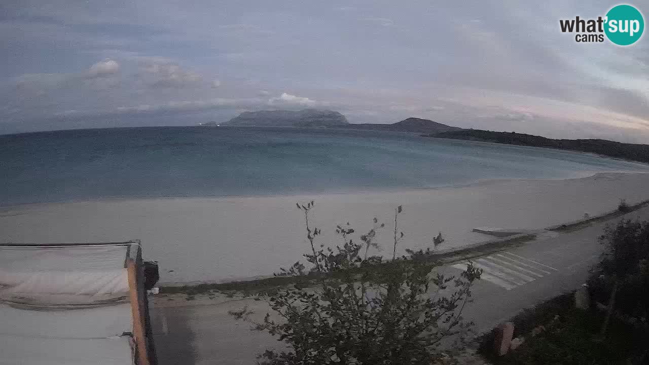 La playa de Pittulongu webcam en vivo Olbia – Cerdeña – Italia