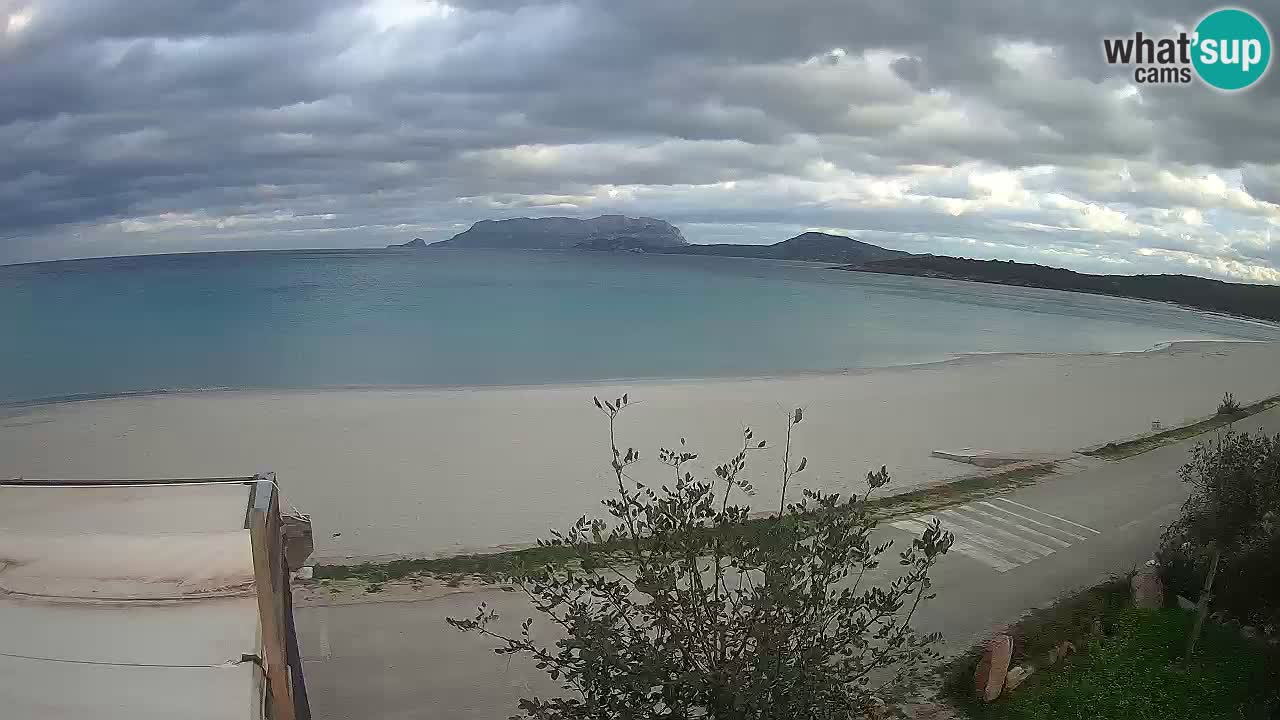 La webcam spiaggia Pittulongu vicino Olbia – Sardegna