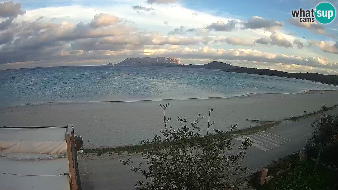 La playa de Pittulongu webcam en vivo Olbia – Cerdeña – Italia