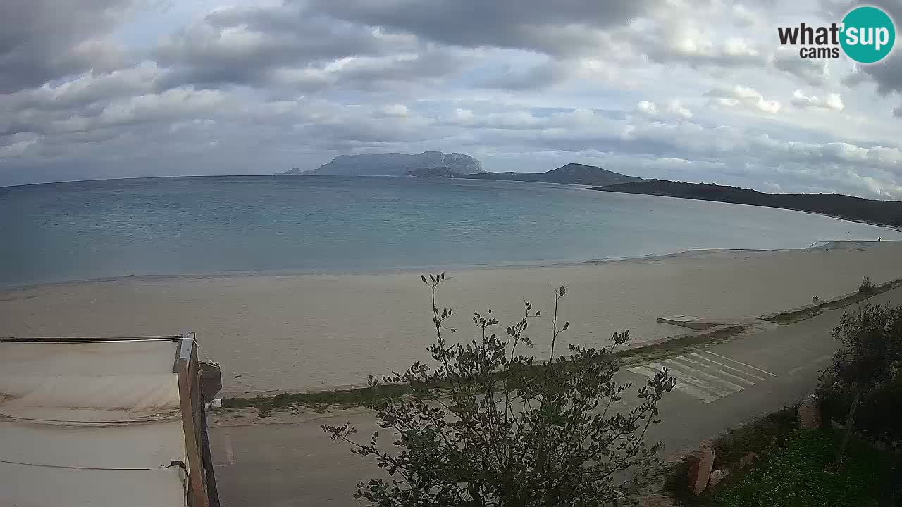 La playa de Pittulongu webcam en vivo Olbia – Cerdeña – Italia