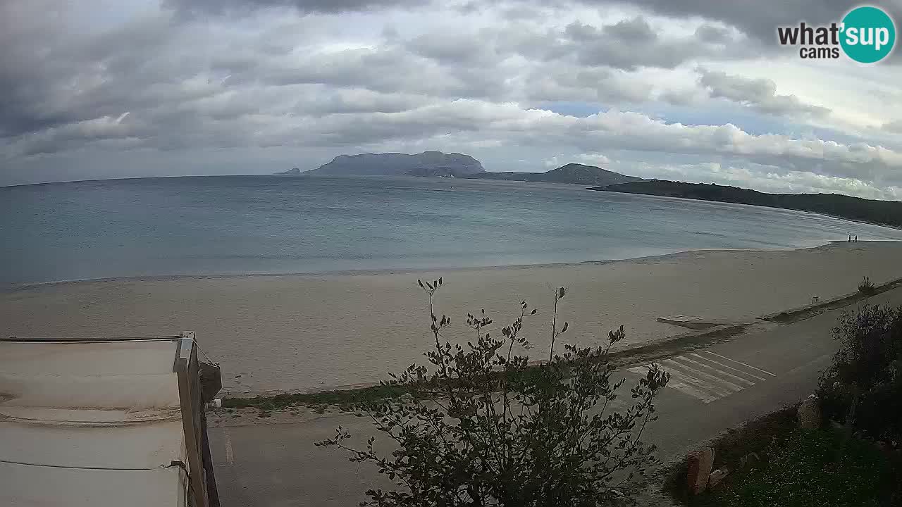 Plaža Pittulongu spletna kamera v živo Olbia – Sardinija – Italija