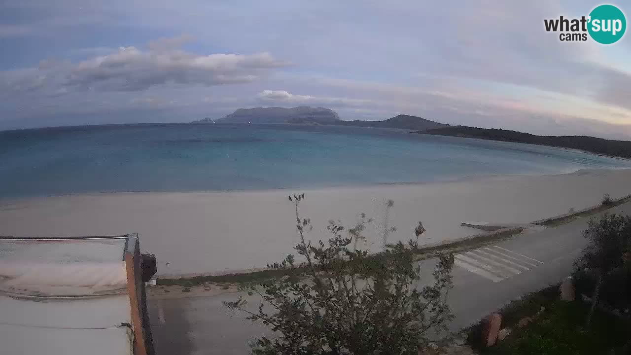 La plage de Pittulongu en direct webcam Olbia – Sardaigne – Italie