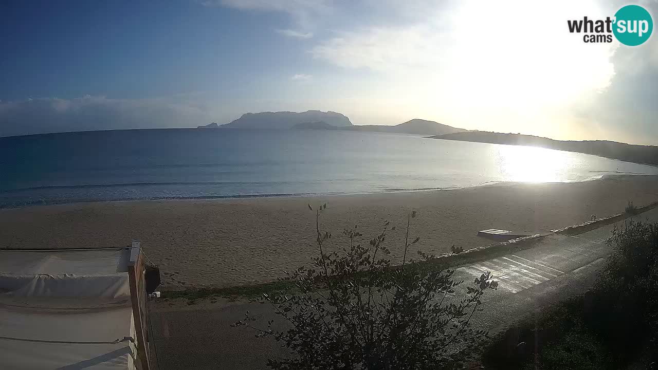 Plaža Pittulongu spletna kamera v živo Olbia – Sardinija – Italija