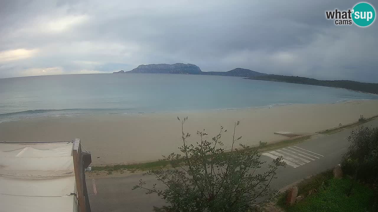 La playa de Pittulongu webcam en vivo Olbia – Cerdeña – Italia