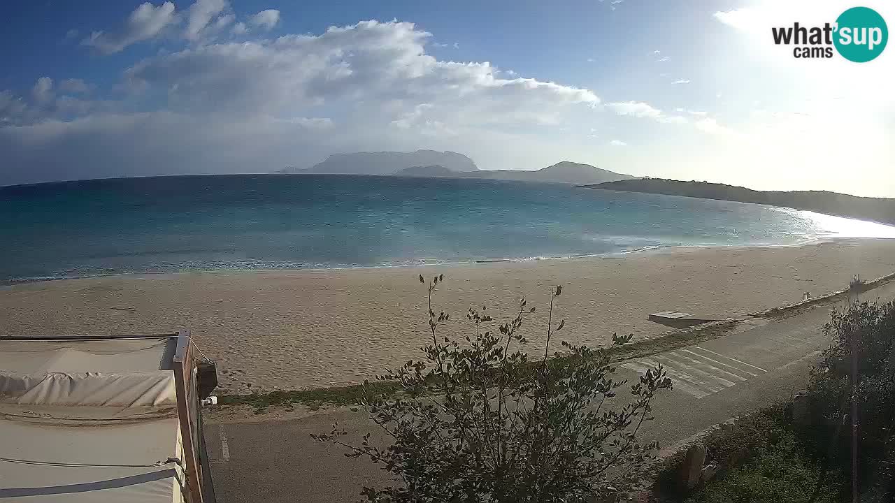 La plage de Pittulongu en direct webcam Olbia – Sardaigne – Italie