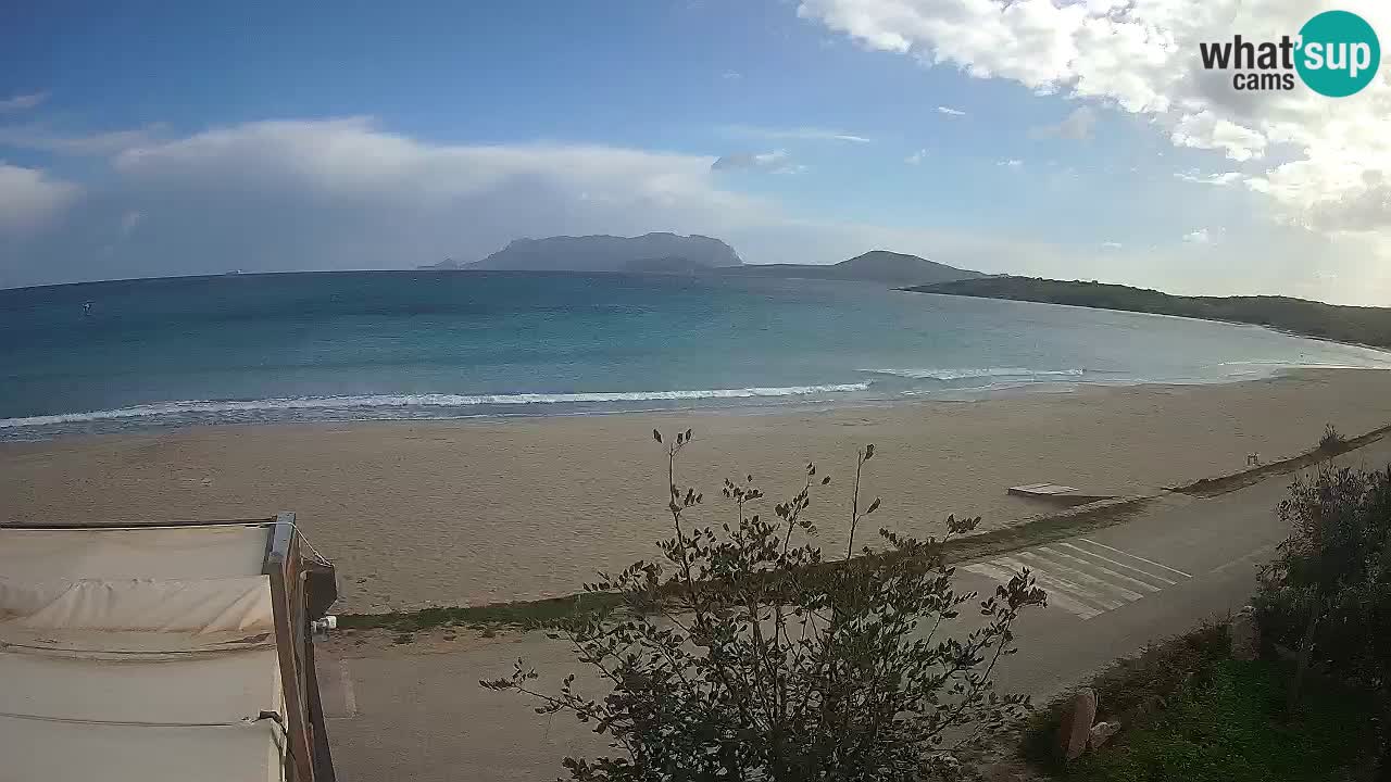 La plage de Pittulongu en direct webcam Olbia – Sardaigne – Italie