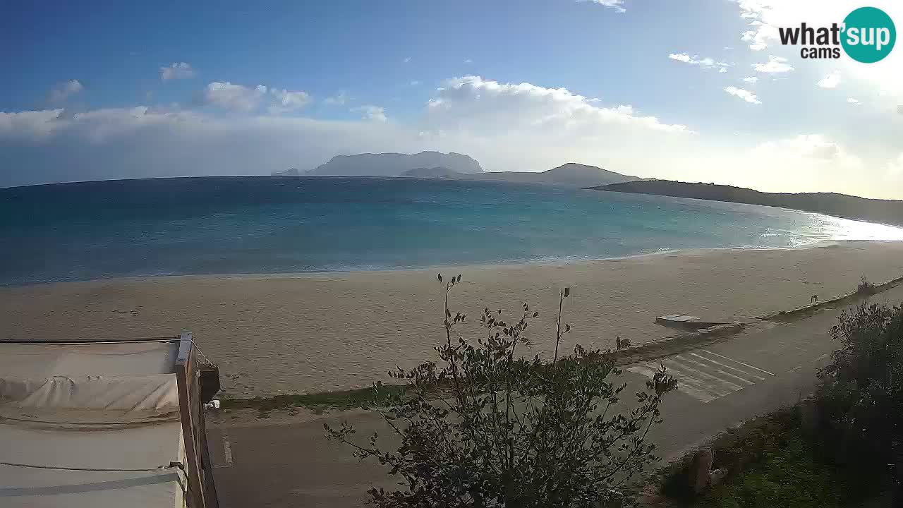 Plaža Pittulongu spletna kamera v živo Olbia – Sardinija – Italija