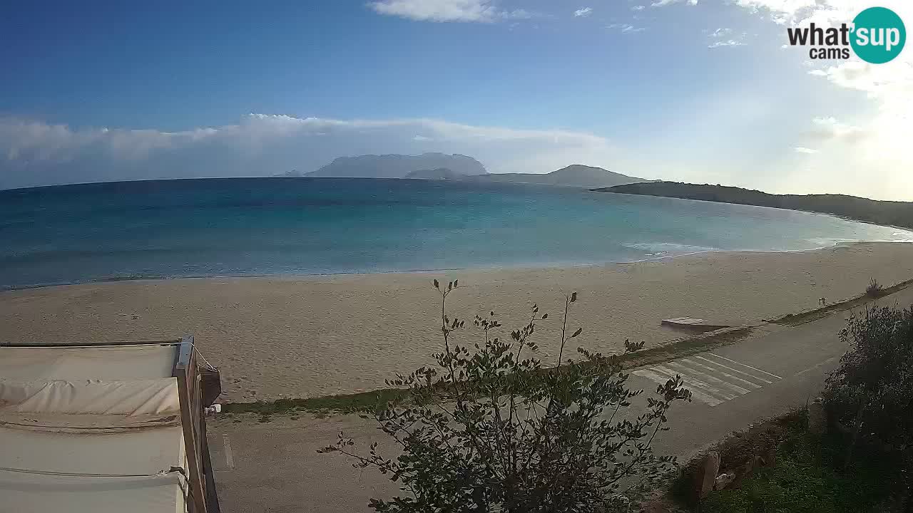 Der Strand von Pittulongu Live-Webcam Olbia – Sardinien – Italien