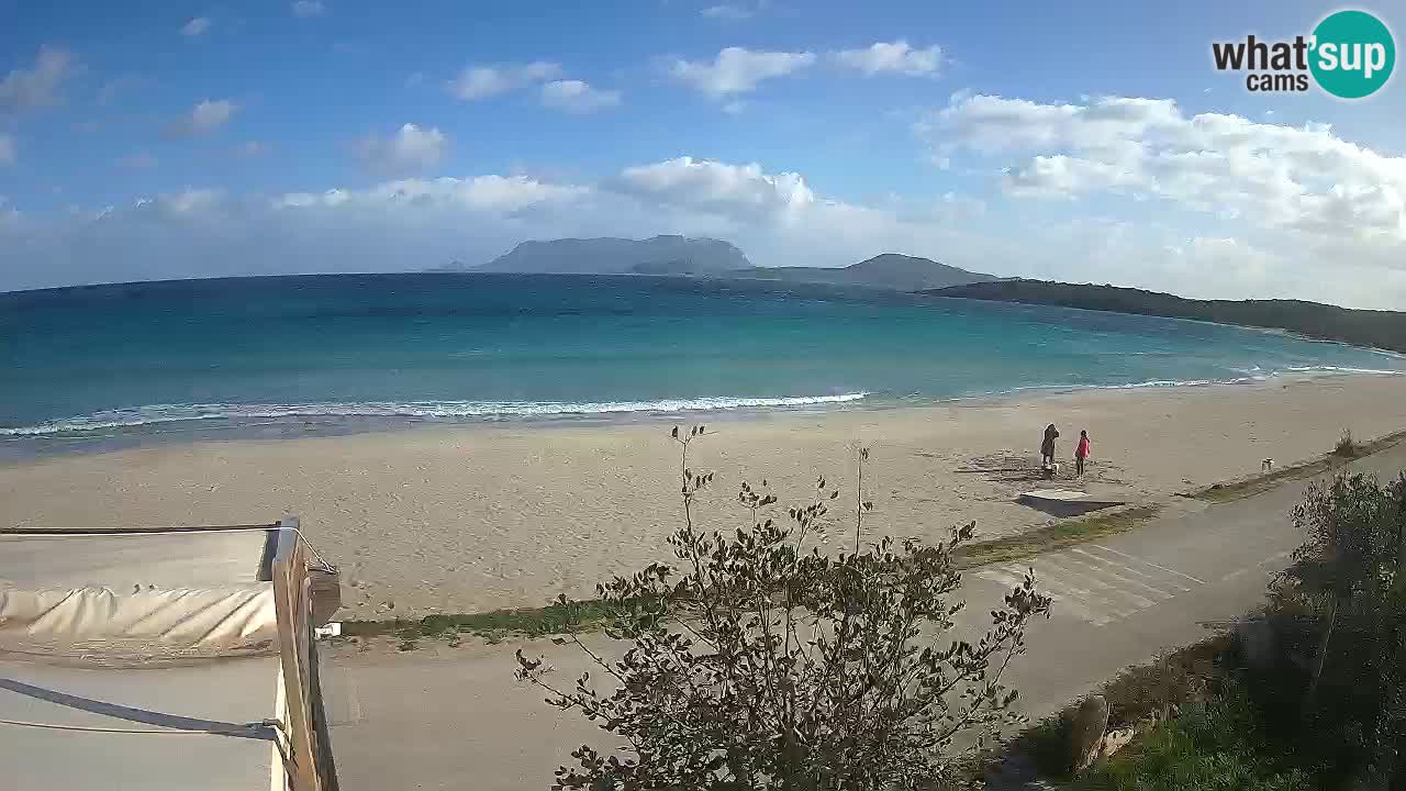 Plaža Pittulongu spletna kamera v živo Olbia – Sardinija – Italija