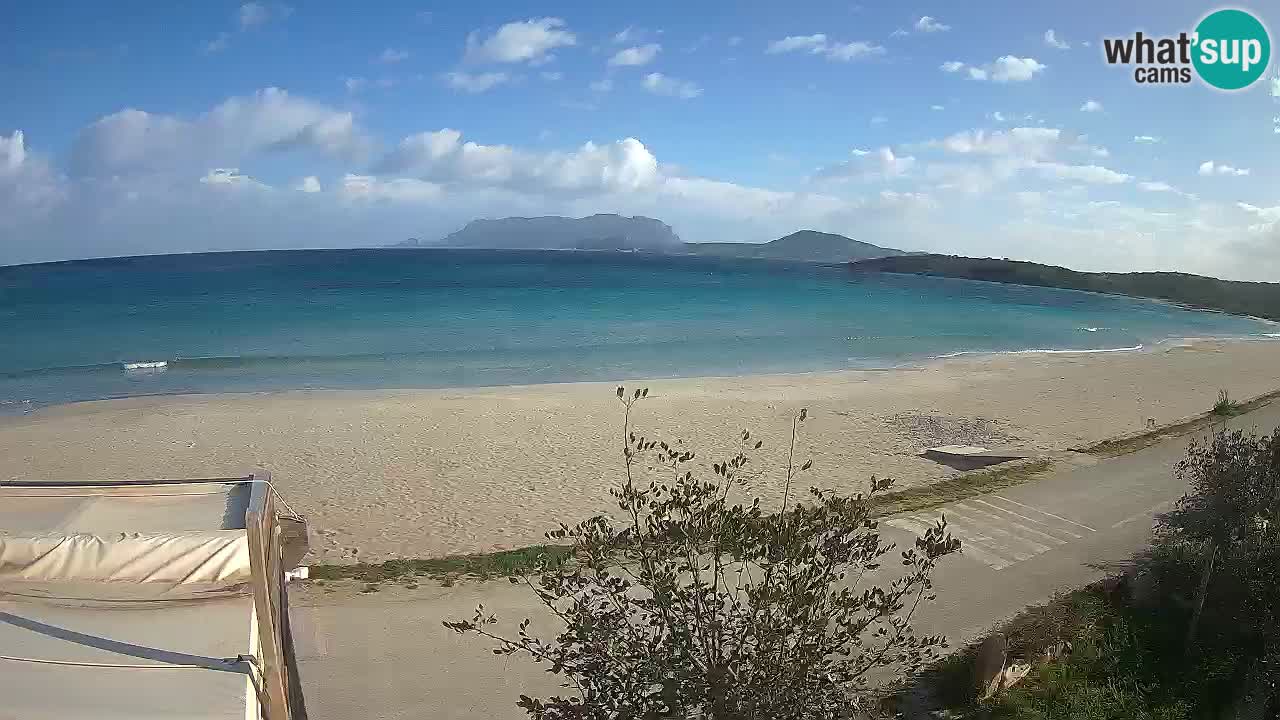 Plaža Pittulongu spletna kamera v živo Olbia – Sardinija – Italija