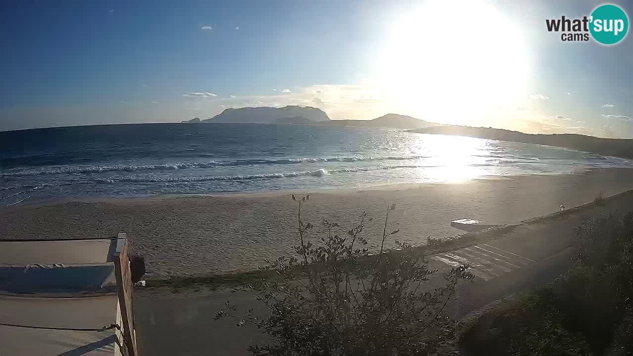 The beach of Pittulongu live webcam Olbia – Sardinia – Italy