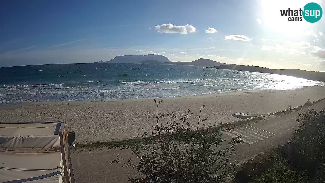 The beach of Pittulongu live webcam Olbia – Sardinia – Italy