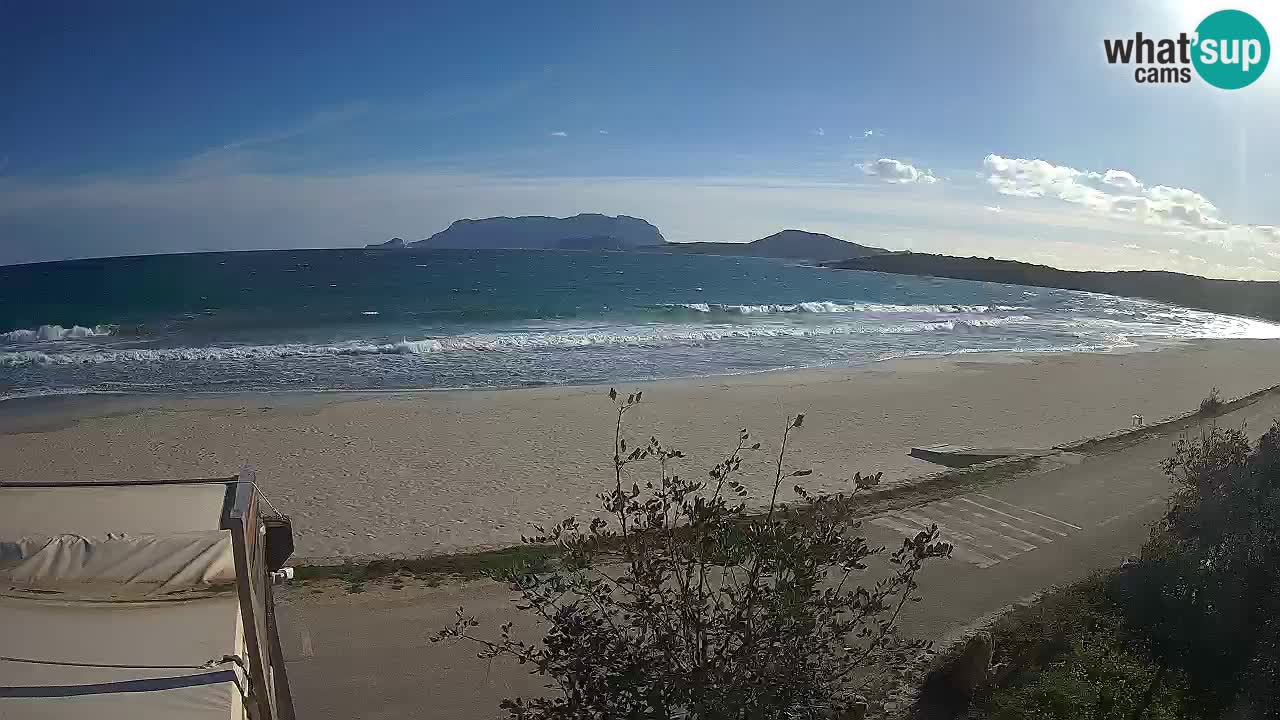 La webcam spiaggia Pittulongu vicino Olbia – Sardegna