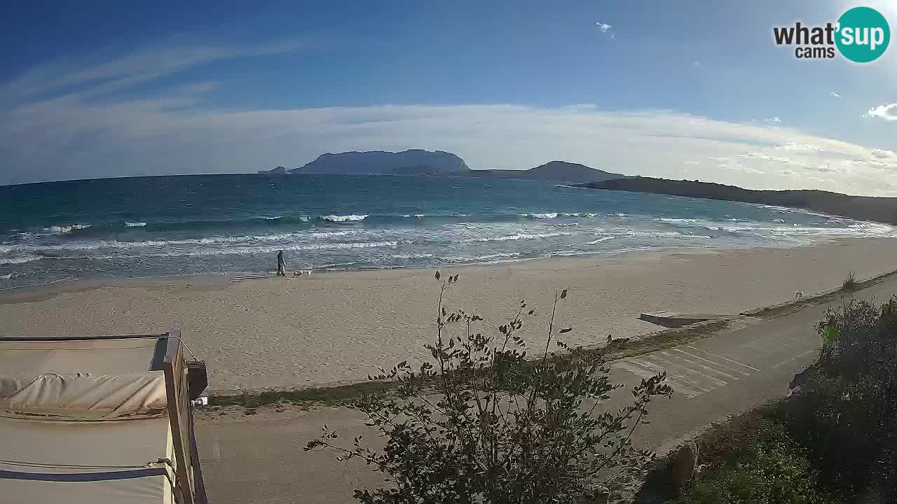 La webcam spiaggia Pittulongu vicino Olbia – Sardegna