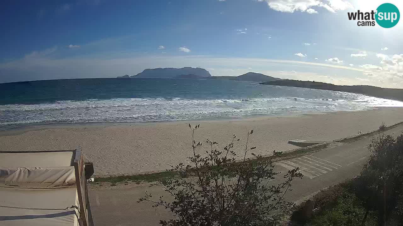 The beach of Pittulongu live webcam Olbia – Sardinia – Italy