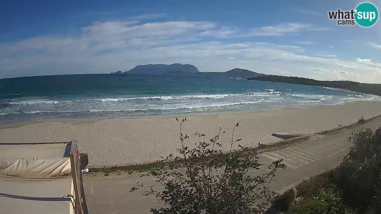 La webcam spiaggia Pittulongu vicino Olbia – Sardegna