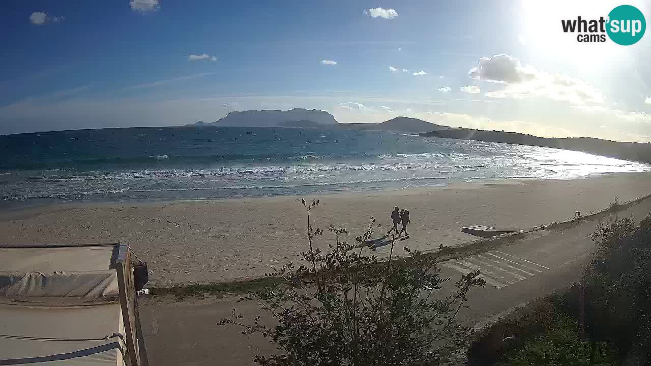 La webcam spiaggia Pittulongu vicino Olbia – Sardegna