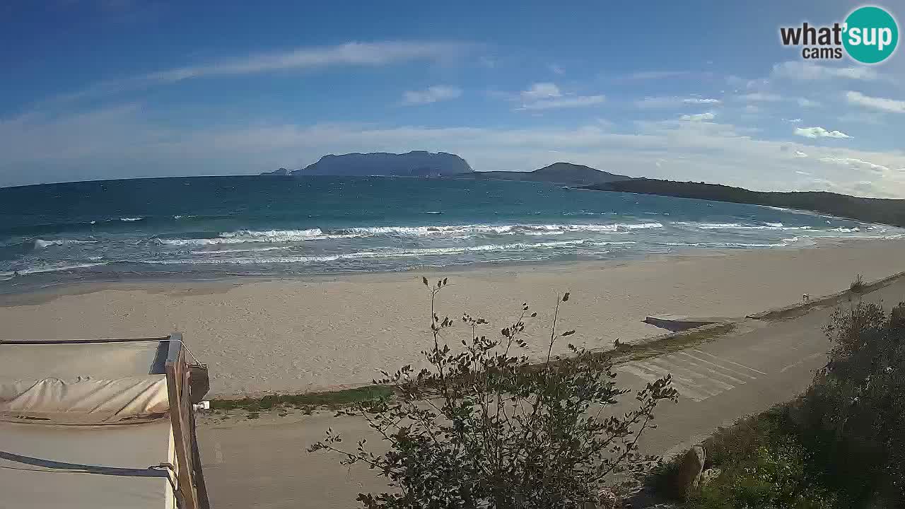 La webcam spiaggia Pittulongu vicino Olbia – Sardegna